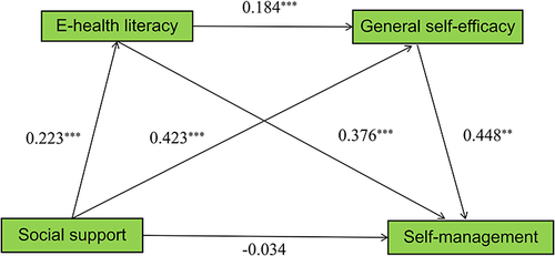 Figure 1 Serial mediation of e-health literacy and general self-efficacy on the relationship between social support and self-management. The coefficients shown are standardized path coefficients, ***P < 0.001.
