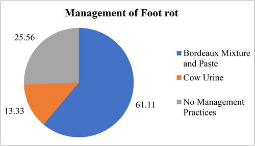 Figure 8. Management practices adopted by farmers to ­control foot rot.