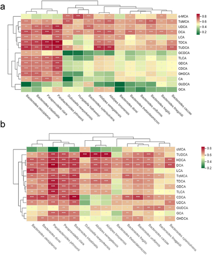 Figure 8. GUS-producing bacteria are significantly correlated with BAs profile. Heatmap of spearman’s correlation coefficients between the serum (a) and liver BAs (b) and the GUS-producing bacteria, the color of each spot in the heatmap corresponds to the r value (ρ>.6). The correlations were analyzed using Spearman’s correlation. FDR-adjusted p < 0.05 (*p < 0.05, **p < .01, ***p < .001) was shown.