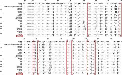 Figure 6. Multiple sequence alignment of amino acid sequences of the G protein between BRSV strain DQ and other main reference BRSVs (those published in GenBank) was conducted using the DNAMAN software