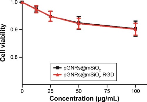 Figure 4 MCF-10A normal cells were incubated with different concentrations (0–100 μg/mL) of pGNRs@mSiO2 or pGNRs@mSiO2-RGD nanoprobes for 24 hours at 37°C.Notes: The cell viability was examined by CCK-8 assay. pGNRs@mSiO2, mesoporous silica-encapsulated gold nanorods; pGNRs@mSiO2-RGD, RGD-conjugated mesoporous silica-encapsulated gold nanorods; RGD, arginine–glycine–aspartic acid (Arg-Gly-Asp) peptides.Abbreviation: CCK-8 assay, cell counting kit-8 assay.