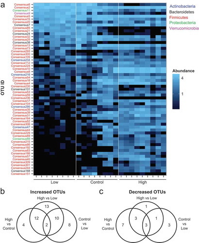 Figure 2. Dietary iron enhances the relative fecal abundances of numerous bacterial taxa. (a) Heat map of OTUs that are significantly different in abundance with variable iron diets (FDR-corrected p< 0.05). Each column represents an individual WT mouse. Each row represents individual OTUs, color coded by phylum, that are significant between at least two diet groups as determined using a mixed linear model. The colors of the heat map represent the mean relative abundance (normalized and log transformed) of each OTU. B + C) Venn diagrams of OTUs that are significantly (b) increased or (c) decreased in relative abundance (FDR-corrected p< 0.05) in the feces as determined using a mixed linear model.
