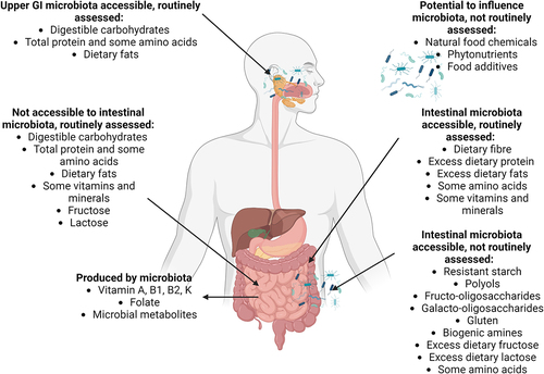 Figure 1. Accessibility of nutrients and other food components to intestinal microbiota at different sites within the human digestive tract, and associated dietary assessment methods.
