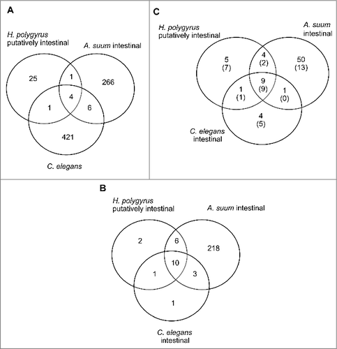 Figure 6. Conservation of A. suum mature miRNA and their seed sequences with miRNAs from other nematodes. (A) Mature miRNA sequences that are conserved among H. polygyrus putative intestinal, A. suum intestinal and all C. elegans miRNAs in miRBase. (B) Conservation of seed sequences from experimentally determined or putative intestinal miRNAs from each of the 3 worm species. (C) Restricted comparison of miRNAs from panel B to only the miRNAs with high abundance in all 3 A. suum intestinal regions. 78 miRNAs with >=2 mean abundance (no bracket) and 31 miRNAs with >=100 mean abundance (inside bracket).