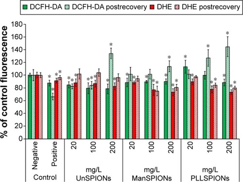 Figure 3 Effect of SPIONs with different surface coating on ROS levels measured by the DCFH-DA and DHE staining methods.Notes: Neural stem cells were exposed to different concentrations of SPIONs, given in mg/L, for 4 hours (solid filled columns). To evaluate possible neural stem cell recovery from acute oxidative stress, cells were placed in fresh nanoparticle-free Dulbecco’s Modified Eagle’s Medium for an additional 4 hours after exposure to SPIONs (dotted columns). Control cells were cultivated in nanoparticle-free exposure media (negative controls) or treated with 100 μM of hydrogen peroxide (positive controls). The data for cell viability, expressed as the mean of three independent experiments conducted in five replicates, were calculated as percentages of the values measured in control cells. Error bars represent standard deviation. *P<0.05 compared with negative control.Abbreviations: SPIONs, superparamagnetic iron oxide nanoparticles; ROS, reactive oxygen species; DCFH-DA, dichlorodihydrofluorescein diacetate; DHE, dihydroethidium; UnSPIONs, uncoated SPIONs; ManSPIONs, D-mannose-coated SPIONs; PLLSPIONs, poly-L-lysine-coated SPIONs.
