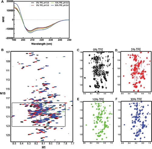 Figure 5. Spectra of the TM4-Cx43CT in TFE. TM4-Cx43CT solubilized in LPPG micelles (MES buffer, pH 5.8, 50 mM NaCl, 42°C) titrated with 0% (black) 5% (red), 10% (green), and 30% (blue) TFE. (A) CD spectra collected for the TM4-Cx43CT TFE titration. (B) Overlay of the NMR spectra collected for the TM4-Cx43CT titrated with TFE. (C–F) Close-up view of each spectrum (black rectangle from A).