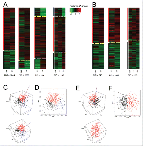 Figure 3. Clustering of ovarian cancers according to the mRNA expression levels of CALR and that of metagenes indicating the presence of cytotoxic T cells (CTL) and dendritic cells (DC) and activated DC (aDC). (A) Expression z-scores of CALR, CTL and DC (combined in a pairwise fashion or combined altogether followed by clustering). (B) DC is replaced by aDC. Yellow dashed lines separate clusters and vertical color lines (black, red, blue) define the clusters. BIC (Bayesian Information Criterion, defined as (−2) times the logarithm of the maximum likelihood, corrected by a factor that depends on the number of clusters and on the size of data) are indicated for each multidimensional clustering. (C) (respectively, E) Three-dimensional representation of clusters obtained for the combined analysis of CALR, CTL and DC (respectively, aDC). Purple lines represent the axes obtained by cluster dimension reduction (“MclustDR” function of R package mclust), the thick line for the first axis, the thin line for the second. (D) (respectively, F) scatter plot representation of clusters, in the directions defined by purple axes in (C) (respectively, F).