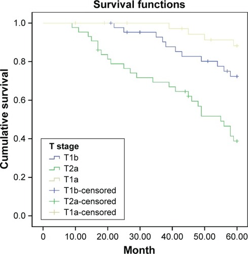 Figure 2 Survival curve of stage I non-small cell lung cancer patients with different tumor node metastasis stages.