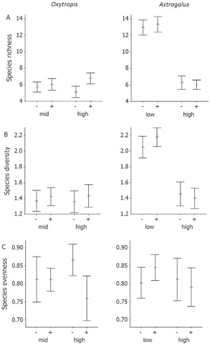 FIGURE 2. (A) Species richness, (B) diversity, and (C) evenness in 15 × 15 cm plots with ( + ) and without (-) the legumes Oxytropis lapponica (left) and Astragalus alpinus (right) in the low-, mid, and high-elevation study sites at Mount Sanddalsnuten, Finse, Norway, summer 2009. All figures show mean values with 95% CI. N = 30 except for Astragalus in the low-elevation site, where N = 29.