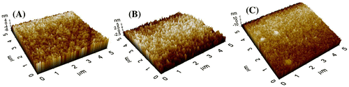Figure 3. Representative AFM images of the (A) Unmodified PI membrane, (B) PI-AA (25%) and (C) PI-AA-Coll (5).