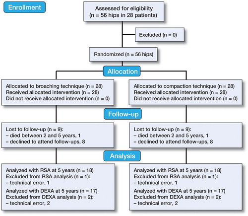 Figure 2. CONSORT flow diagram showing the inclusion/exclusion process and follow-up until 5 years.