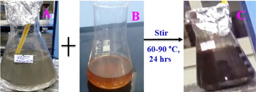 Figure 2. Visual observation of the solution before and after the reduction of metal ions, where A, B, and C are indicated for (3), (1), and (2), respectively.