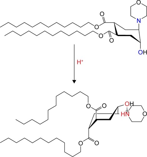 Figure 1 Scheme of pH-induced conformational flip of lipid trigger (TR).Abbreviation: TR, trans-4,5-didodecyloxycarbonyl-2-morpholinocyclohexanol.