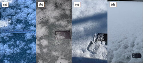 Figure 3. Examples of surface pictures during the experiment. (a) February 12 10:00, Frost flower coverage, (b) February 16 07:00 frost flower coverage, (c) February 19, 15:00 snow-covered frost flowers, and (d) February 23, 15:00 snow-covered sea ice.