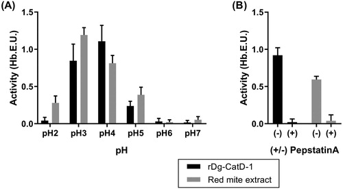 Figure 2. Haemoglobinolytic protease activity analysis of Dg-CatD-1. (A) Activity of refolded rDg-CatD-1 and soluble D. gallinae protein extract at pH 2 – pH 7 (as indicated in the figure). (B) Activity of refolded rDg-CatD-1 and soluble D. gallinae protein extract at pH 4 in the presence (+) or absence (-) of pepstatin A (2 µM final concentration). Each value is the mean ± SEM, n = 4.