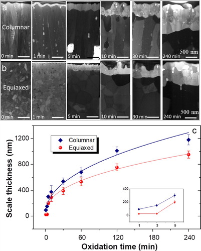 Figure 2. (a-b) STEM bright field images (Helios) of the cross-sections of columnar (a) and equiaxed (b) grained Cr2AlC coatings before oxidation and after oxidation at 1100°C from 1 to 240 min. The measured scale thickness is plotted as a function of oxidation time for each sample. (c) Variation of the oxide scale thickness with oxidation time and corresponding power law fit in the equiaxed and columnar grained samples. The inset in (c) shows the initial scale thickness from 1 to 5 min.