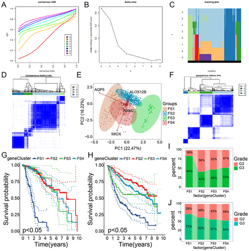 Figure 6 Establishment of LGG F-subtypes. (A and B). CDF plot (A) and delta area (B) of FRGs in the TCGA-LGG cohort. (C). Cluster-tracing heatmap of the TCGA-LGG samples. (D). Heatmap of sample clustering in the TCGA cohorts. (E). PCA of F-subtypes in the TCGA-LGG cohort. (F). Heatmap of sample clustering in the CGGA cohorts. (G and H). Kaplan-Meier curves indicating the OS of the F-subtypes in the TCGA (G) and CGGA (H) cohorts. (I and J). Distribution ratio of WHO grades across F-subtypes in the TCGA (I) and CGGA (J) cohorts.