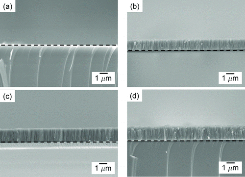 FIG. 6 Cross-sectional FESEM images of Si films deposited for 20 min at SiH4 concentrations of (a) 3%, (b) 4%, (c) 5%, and (d) 6% with a wire temperature of 1800°C under 1.5 torr. The dashed line represents the boundary between the substrate and the film.