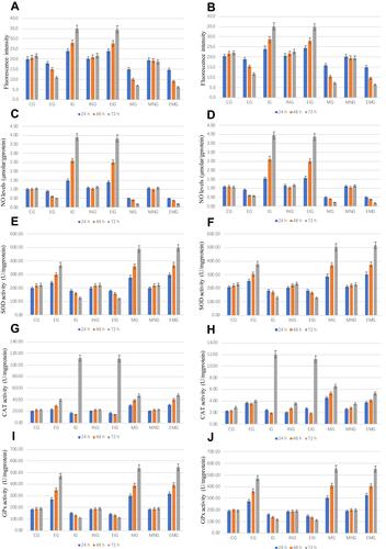 Figure 6 The effects of miR-659-3p siRNA and mimic, and or β-Caryophyllene treatment on the levels of oxidative stress and antioxidants in NSCLC cells. (A) The effects of miR-659-3p siRNA and mimic, and or β-Caryophyllene treatment on ROS level in NSCLC cell lines A549. (B) The effects of miR-659-3p siRNA and mimic, and or β-Caryophyllene treatment on ROS level in NSCLC cell lines NCI-H1299. (C) The effects of miR-659-3p siRNA and mimic, and or β-Caryophyllene treatment on NO level in NSCLC cell lines A549. (D) The effects of miR-659-3p siRNA and mimic, and or β-Caryophyllene treatment on NO level in NSCLC cell lines NCI-H1299. (E) The effects of miR-659-3p siRNA and mimic, and or β-Caryophyllene treatment on SOD activity in NSCLC cell lines A549. (F) The effects of miR-659-3p siRNA and mimic, and or β-Caryophyllene treatment on SOD activity in NSCLC cell lines NCI-H1299. (G) The effects of miR-659-3p siRNA and mimic, and or β-Caryophyllene treatment on CAT activity in NSCLC cell lines A549. (H) The effects of miR-659-3p siRNA and mimic, and or β-Caryophyllene treatment on CAT activity in NSCLC cell lines NCI-H1299. (I) The effects of miR-659-3p siRNA and mimic, and or β-Caryophyllene treatment on GPx activity in NSCLC cell lines A549. (J) The effects of miR-659-3p siRNA and mimic, and or β-Caryophyllene treatment on GPx activity in NSCLC cell lines NCI-H1299. 40 μM of β-Caryophyllene showed the highest inhibitory effects on NSCLC growth and used in the subsequent experiment. All experiments were performed in triplicate.