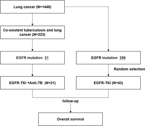 Figure 1 Flowchart of participant selection in this study. Data cutoff was November 7, 2020.