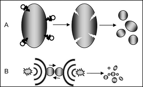 FIGURE 3. Two possible mechanisms of acoustic cavitation in liquid–solid systems: (A) Particle size is severalfold larger than resonant bubble size, and the particle creates an asymmetry of the environment near the surface, which induces, during bubble collapse, a rapidly moving stream of liquid through the cavity at the surface with velocity grater than 100 m/s. Such impacts are often used to clean surfaces and are responsible for the characteristic pitting in the surface. (B) Particles are smaller than approximately 200 μm (with US operating at approximately 20 kHz), and the shock waves created by homogeneous cavitation accelerate particles and induce high-energy interparticle collisions.