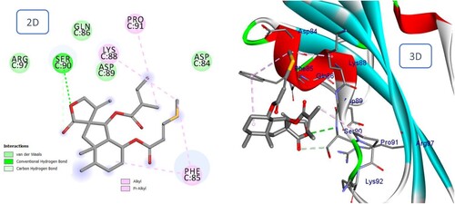 Figure 9. 2D and 3D representation of predicted binding mode of Bakkenolide IIIA with BMPIA receptor.