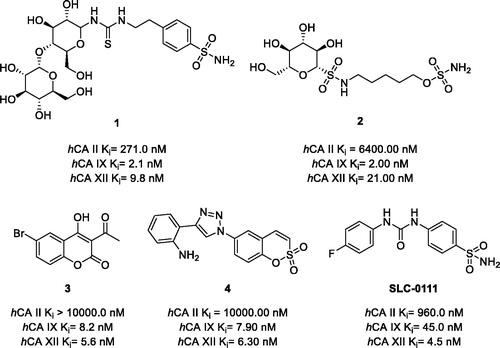 Figure 1. Potent and selective hCA IX/XII inhibitors from among sulphonamides (1), sulfamates (2), coumarins (3), and sulfocumarins (4) and SLC-0111 with its CA inhibition profile.