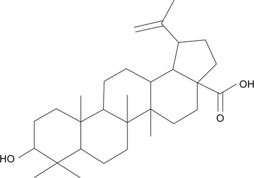 Figure 1 Structure of isolated B.Abbreviation: B, betulinic acid.