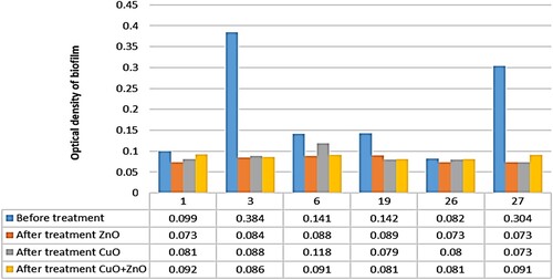 Figure 5. Optical density of biofilm after treatment of E. coli by nanoparticles.