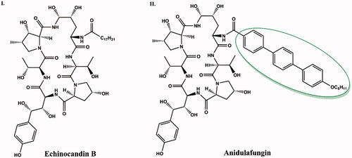 Figure 9. Structure comparison of echinocandin B (I) and anidulafungin (II). The alkoxytriphenyl side chain that distinguishes the structure of anidulafungin from echinocandin B is shown in green circle.