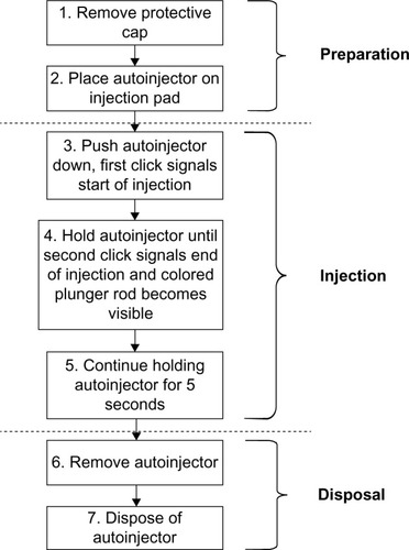 Figure 2 Tasks performed by the user during an injection.