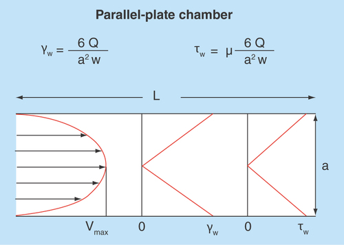 Figure 6.  Typical blood flow velocity profile in the parallel-plate blood perfusion chamber.The shear rate and shear stress profiles would basically be related to the slope of the velocity profile – zero at center and maximal at the wall where the velocity is zero. Formulas for calculation of wall shear rate (Y) and shear stress (u) are indicated above the figure.