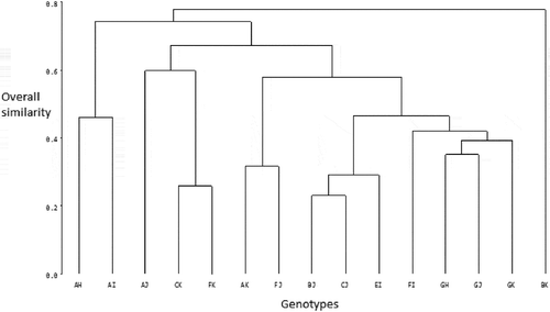 Figure 4. Dendrogram resulting from the Single Linkage Cluster Analysis of fifteen cacao genotypes used in the study