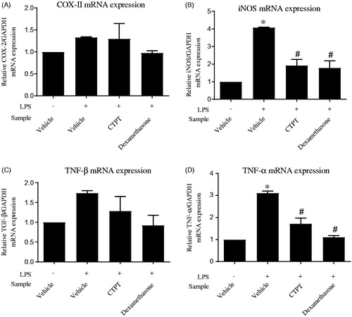 Figure 3. The effects of CTPT extract on inhibition of LPS-induced mRNA expression of inflammatory mediators in RAW264.7 cells. Cells were pretreated without or with CTPT (10 µg/mL) or 0.1 µM dexamethasone for 3 h and then stimulated with 1 µg/mL LPS for 12 h at 37 °C. Relative mRNA levels were quantified and are shown as the mean ± SEM of four independent experiments. *p < 0.05 compared with control; #p < 0.05 compared with LPS.
