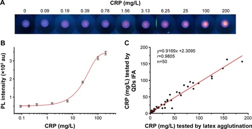 Figure 7 Application of the developed QD-based immunofiltration assay for CRP detection.Notes: (A) Typical fluorescent images of detection results carried out with twofold serially diluted CRP calibrator and a negative control (0 mg/L CRP serum sample) 5 µL of CRP samples in serum respectively added to 800 µL of 20 nM QD conjugates solution, then 120 µL aliquot was loaded into IFA pad. (B) The calibration curve of the quantitative detection by the developed QD-based immunofiltration assay. (C) Correlation between the results of QD-based immunofiltration assay and latex enhanced immune-agglutination assay for 50 human serum samples.Abbreviations: QD, quantum dot; IFA, immunofiltration assay; CRP, C-reactive protein; PL, photoluminescence.