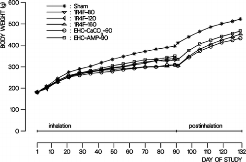 FIG. 2 Body weight development of male rats in the subchronic inhalation toxicity study. Curves represent the mean body weight of sham- and MS-exposed groups.