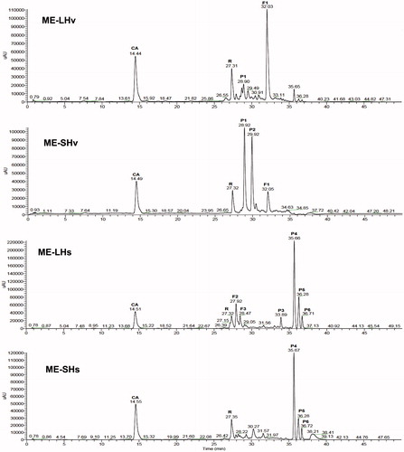 Figure 1. HPLC-DAD chromatograms of the methanol extracts (ME) from leaves (L) and stems (S) of Helicteres vegae (Hv) and Heliopsis sinaloensis (Hs). The identity of the major phenolics (flavonoids F and phenolic acids P) is shown in Table 1. Peaks for the commercial standards are CA (caffeic acid) and R (rutin).