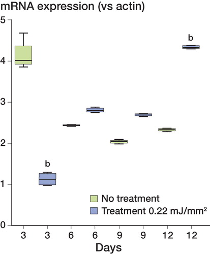 Figure 4. Effect of ESW treatment on collagen type I expression. Relative expression of collagen type I after treatment with ESW (EFD = 0.22mJ/mm2, 1,000 impulses) (n = 4). Significance compared to no treatment: b p < 0.001.