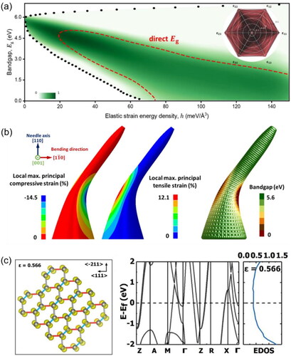 Figure 8. Deep ESE simulations of diamond under straining. (a) Achievable bandgap values of diamond through ESE [Citation132]. (b) Simulation prediction of the local strain distribution (left and middle needles, with compressive and tensile strains distribution) and bandgap distribution (right needle) of bent diamond nanoneedles [Citation112]. (c) Conduction charge distribution (left figure) and electronic band structure (right figure) of diamond lattice under a CS strain ε value of 0.566, which is under superconducting condition [Citation135]. (a) Reproduced with permission from ref Citation132, Copyright 2021 the author(s), published by Nature Publishing Group. (b) Reproduced with permission from ref Citation112, Copyright 2020 the author(s). Published by PNAS. (c) Reproduced with permission from ref Citation135, Copyright 2020 American Physical Society.