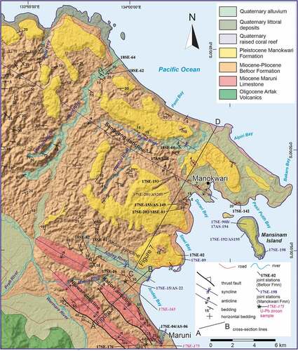 Figure 4. Geological map of the Manokwari area showing northwest-southeast trending folds, with a substantial homoclinal dip to the southwest, and prominent anticlines cored by the Maruni Limestone in the southwest. Background of hillshade derived from the Digital Elevation Model (http://tides.big.go.id/DEMNAS/). Location shown on Figure 2b Reinterpreted and updated from the map of Ratman et al. (Citation1989) based on new mapping reported herein. Orientation data from the jungle-clad area west of the Nuni River (northwestern part of the area) is from Ratman et al. (Citation1989).