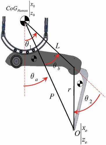 Figure 6. Geometrical dimensions required for the kinematics of RoboWalk