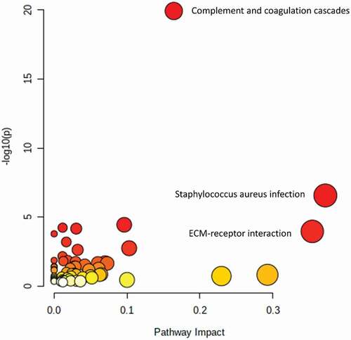 Figure 5. The Pathway Enrichment vs. -log10 (p) with p < 0.05 cutoff for proteins, lipids and metabolites in osteoarthritis patients. P-values are subdivided on a white to red color scheme, red indicating higher significance (P < 0.05). Circle size is determined based on Enrichment Ratio (ER), with small circles representing low ER and big circles representing high ER. ECM = extracellular matrix