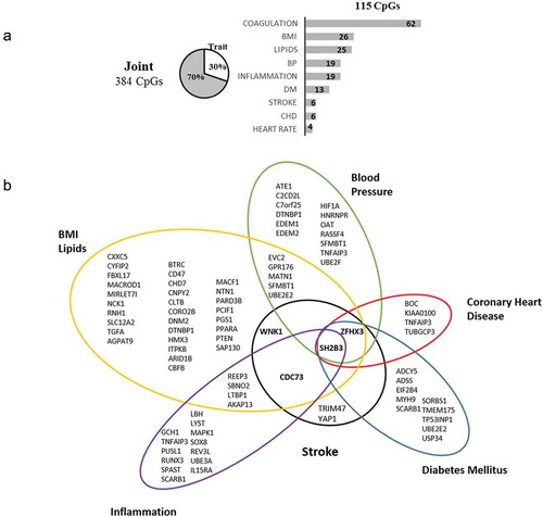 Figure 2. Summary of loci harbouring significant CpGs in meta-analysis, overlapping known genome-wide associations to phenotypes and diseases. (a) 115 CpG (30%) of the 384 joint CpGs are associated with known variants. Bars represent the number of loci associated with each trait; 37 loci are associated with more than 1 trait. (b) List of loci with known associations. In bold, loci validated in discovery.