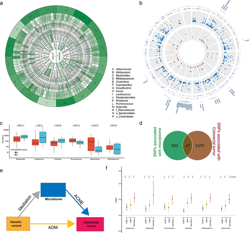 Figure 5. Gut microbiome partially mediates the effects of genetics on CTS.