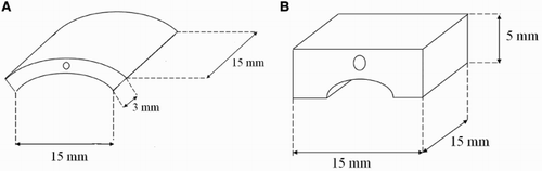 2 Test samples drawing: a curve shape, b bridge shape