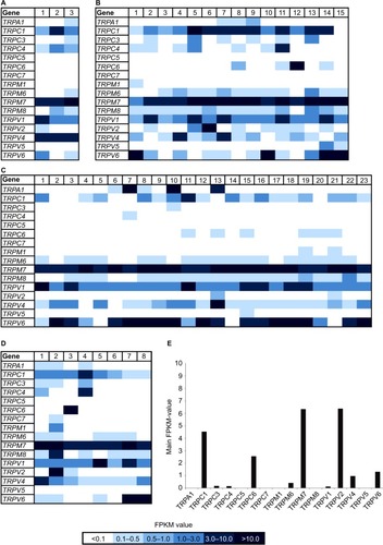 Figure 2 Heat map of TRP channel expression in 49 breast cancer cell lines and healthy tissues.