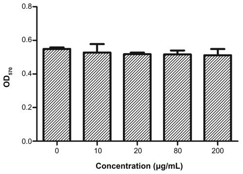 Figure 7 Viability of GL261 cells after incubation for 48 hours with PAA –GO (0–200 μg/mL) and assayed by the MTT method by measuring absorbance at 570 nm (OD570).Note: Values are the mean ± standard deviation (n = 6).Abbreviations: GO, graphene oxide; PAA, polyacrylic acid.