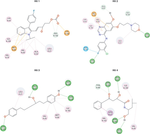 Figure 4. 2D diagrams of the docking results.Hit 1 (compound13_439), Hit 2 (compound10_288), Hit 3 (compound14_8), Hit 4 (compound10_19), reference inhibitor (compound 2 of the test set). Bound compounds are shown in ball-and-stick models, with hydrogen, nitrogen, oxygen, sulfur and fluorine colored in white, blue, red, yellow and cyan, respectively. Nonbonded interactions are represented as dotted lines, with salt bridge colored in orange, carbon–hydrogen bond colored in light green, conventional hydrogen bond colored in green, alkyl or π–alkyl colored in pink, π–σ colored in purple, halogen (fluorine) interactions colored in cyan, π–sulfur colored in yellow. The solvent-accessible surface of an interacting residue is surrounded by a blue halo, and the diameter of the circle is proportional to the solvent-accessible surface.