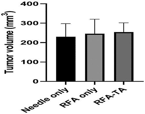 Figure 1. Tumor volume measurement. Tumor volumes measured before the RFA procedure are not different between the three groups (p = 0.78, one-way ANOVA).