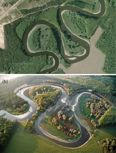 Fig. 5 Aerial views of the Osypané břehy locality showing the channel of the River Morava in 2003 (a) and after channel shortening in 2006 (b). The inflow and outflow parts of the old meander bend filled up with fluvial sediments soon after the cut-off formed. Visible at (b) is a high bank scour in the left meander, created by erosion of sands shown in Fig. 2 (photo by J. Wenzel).